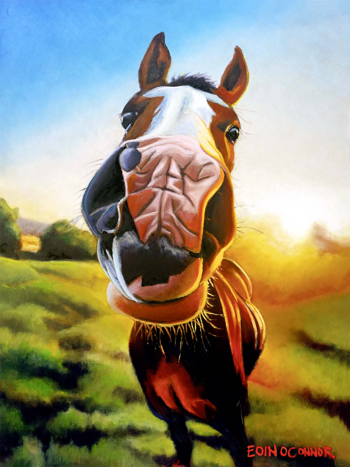 Happy Horsey